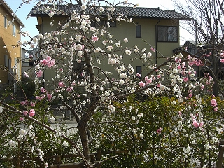 画像: 渋谷松涛へ行ってきました